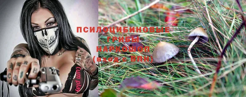 Псилоцибиновые грибы Magic Shrooms  Советский 